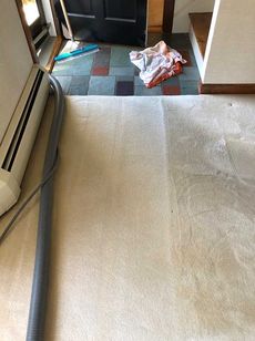 carpet cleaning services in worcester ma