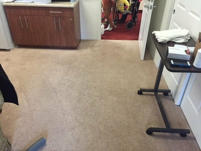commercial carpet cleaning after