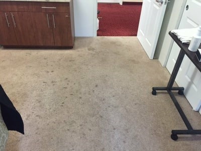 commercial carpet cleaning before