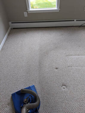 carpet cleaning in central massachusetts