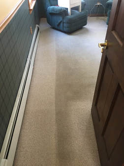 M J Carpet Cleaning Carpet Cleaner Sutton Ma Projects Photos Reviews And More Porch