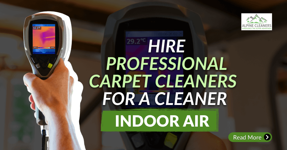 hire-professional-carpet-cleaners-for-a-cleaner-indoor-air