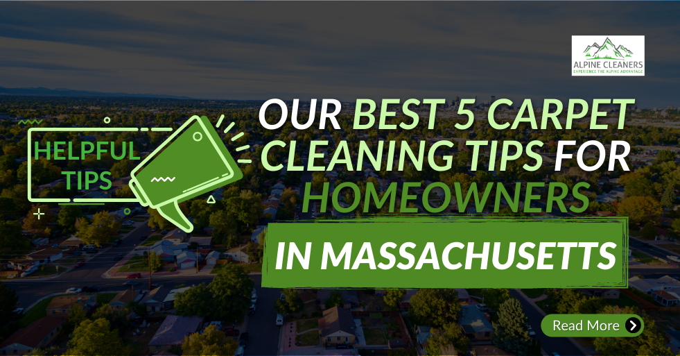 best carpet cleaning tips for homeowners in Massachusetts