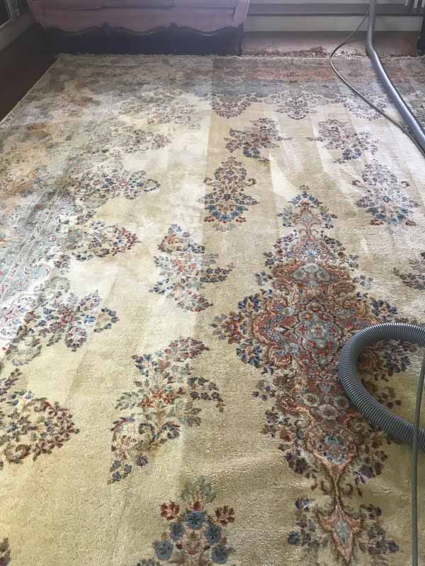 rug cleaning in east brookfield massachusetts